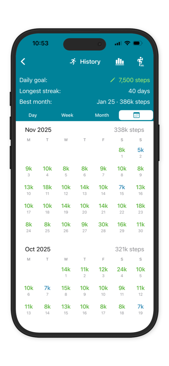 StepUp step history calendar